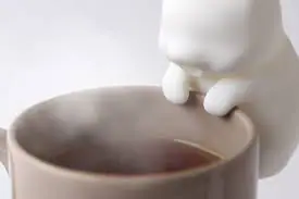 گجت گوشی